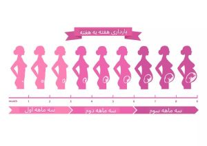 هفته پنجم بارداری