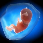 آنچه در مورد کیسه آب یا کیسه آمنیوتیک باید بدانید کیسه آب جنین