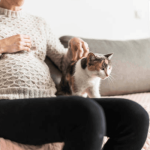 بارداری و موی گربه