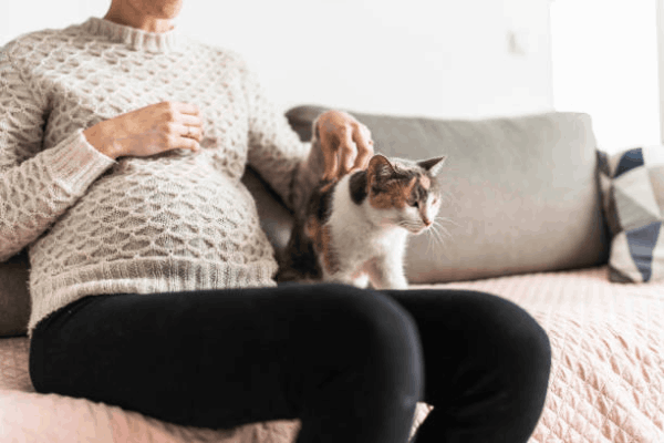 بارداری و موی گربه