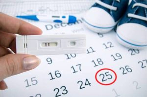 چقدر زمان برای باردار شدن نیاز است؟