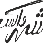 مقایسه بوگیرهای کفش مختلف و راهنمای انتخاب بهترین گزینه برای شما شهرکفش