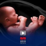 ۱۵ هزار جنین که سرنوشتشان تغییر کرد: اکنون در مراحل بارداری هستند با طرح نفس ۱۵ هزار جنین که قرار بود نباشند، اکنون مرحله بارداری هستند