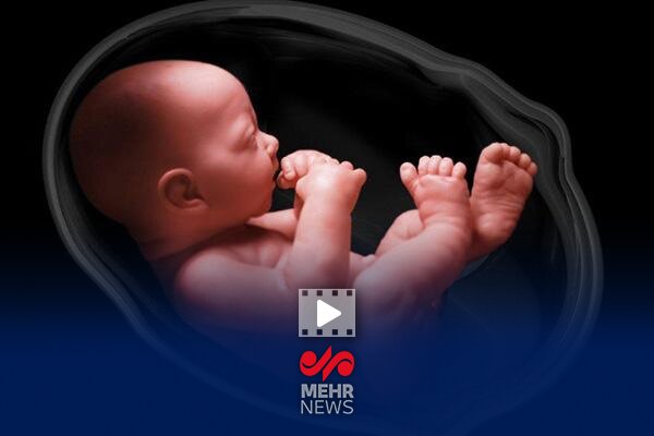 با طرح نفس ۱۵ هزار جنین که قرار بود نباشند، اکنون مرحله بارداری هستند با طرح نفس ۱۵ هزار جنین که قرار بود نباشند، اکنون مرحله بارداری هستند