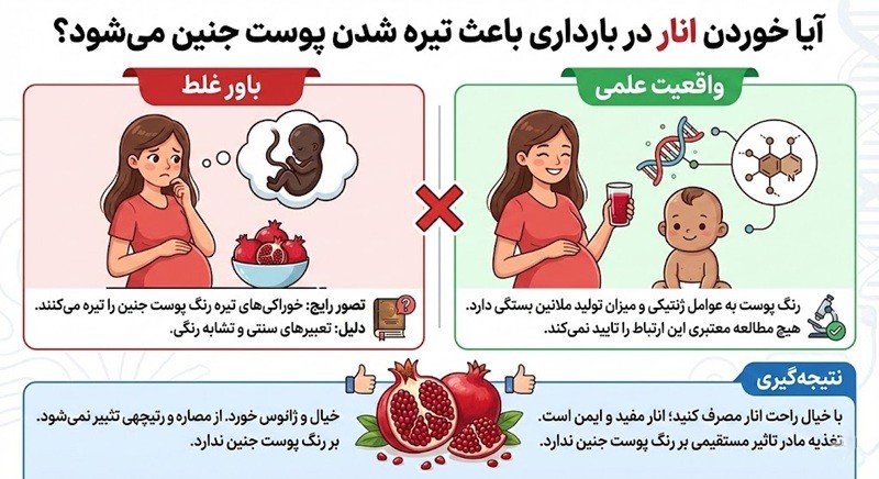 آیا خوردن انار در بارداری باعث تیره شدن پوست جنین می‌شود؟