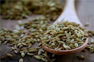 تاثیر رازیانه بر افزایش شیر مادر بررسی شد